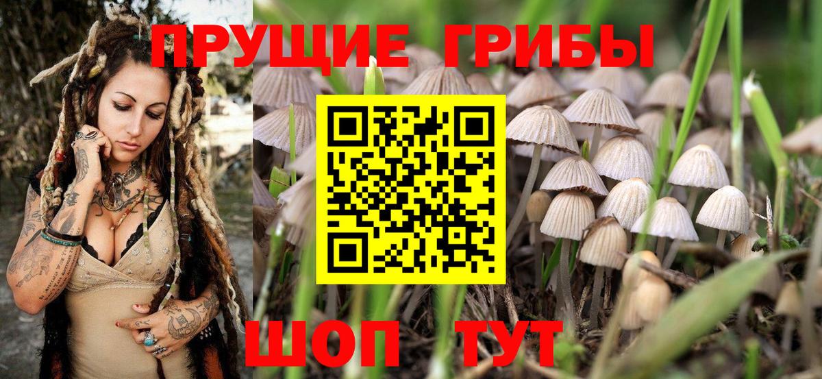 Салават  Псилоцибиновые грибы Magic Shrooms  Вход с VPN 